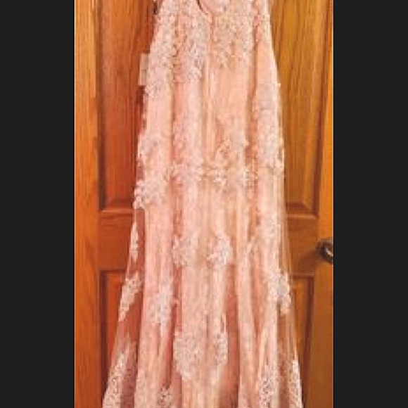 iNtrigue by Blush Pink size 6 Elegant Gown - Picture 4 of 12